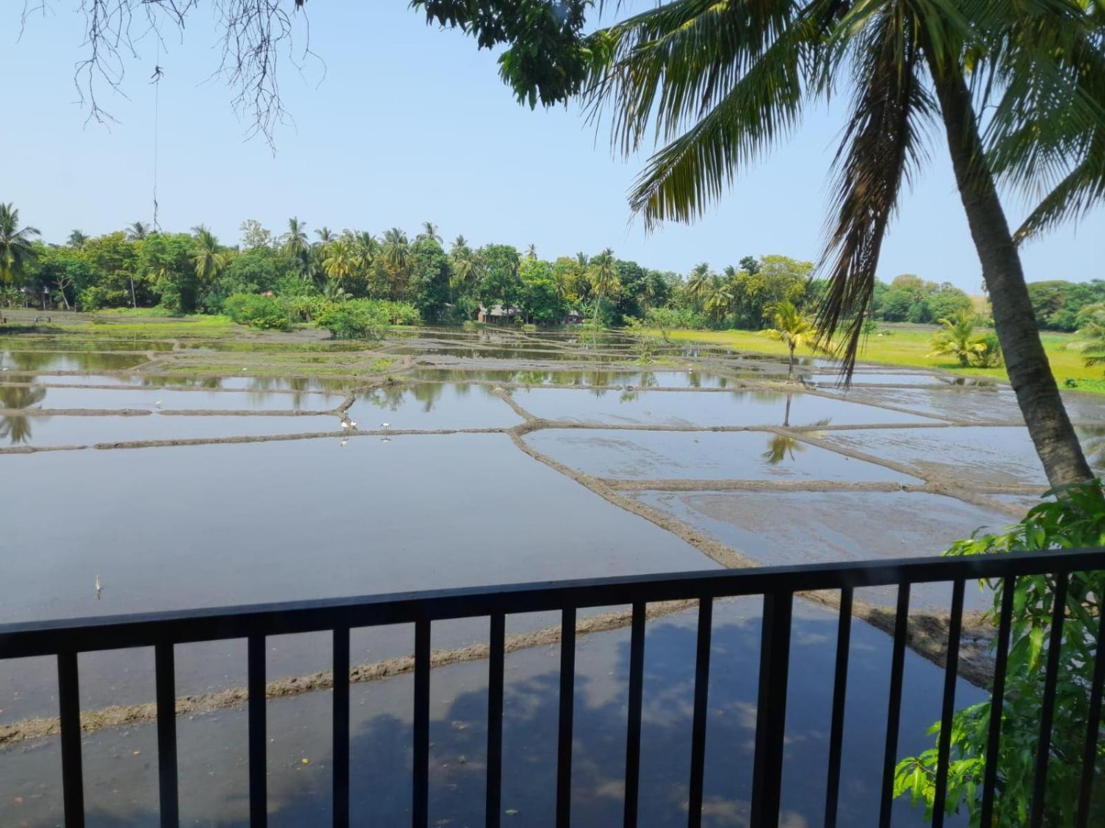 Man Guest Polonnaruwa Hotell Eksteriør bilde