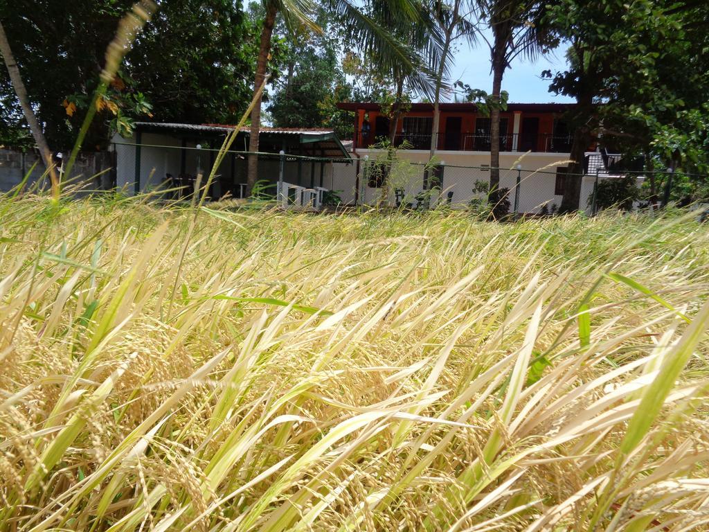 Man Guest Polonnaruwa Hotell Eksteriør bilde